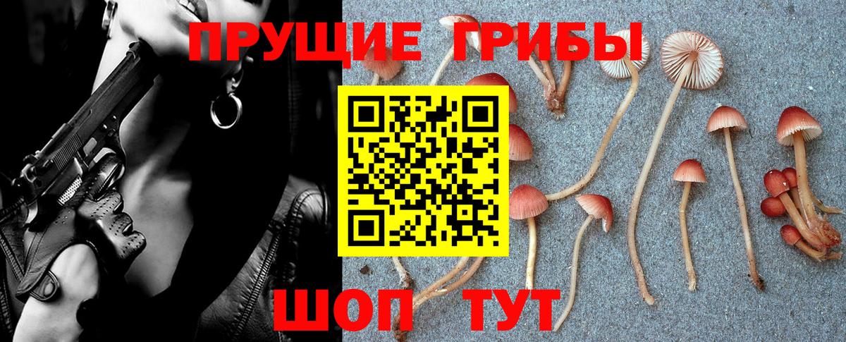 Галлюциногенные грибы Magic Shrooms  Вход с VPN  Моршанск  Галлюциногенные грибы Psilocybine cubensis 
